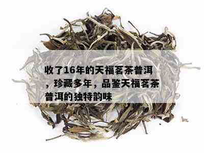 收了16年的天福茗茶普洱，珍藏多年，品鉴天福茗茶普洱的独特韵味