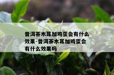 普洱茶木耳加鸡蛋会有什么效果-普洱茶木耳加鸡蛋会有什么效果吗