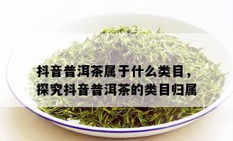 抖音普洱茶属于什么类目，探究抖音普洱茶的类目归属