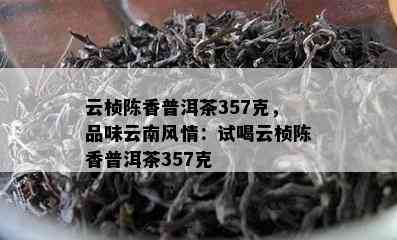 云桢陈香普洱茶357克，品味云南风情：试喝云桢陈香普洱茶357克