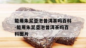 能用朱泥壶泡普洱茶吗百科-能用朱泥壶泡普洱茶吗百科图片