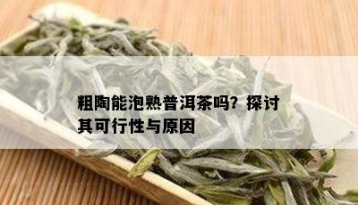 粗陶能泡熟普洱茶吗？探讨其可行性与原因