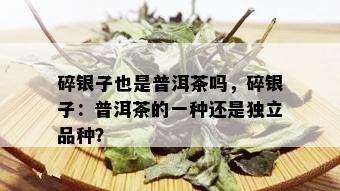 碎银子也是普洱茶吗，碎银子：普洱茶的一种还是独立品种？