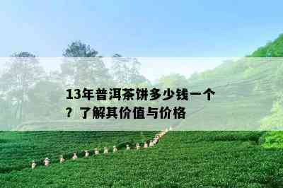 13年普洱茶饼多少钱一个？了解其价值与价格