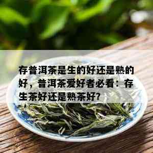 存普洱茶是生的好还是熟的好，普洱茶爱好者必看：存生茶好还是熟茶好？