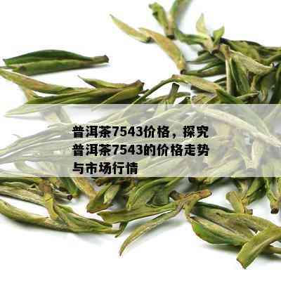 普洱茶7543价格，探究普洱茶7543的价格走势与市场行情