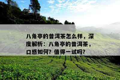 八角亭的普洱茶怎么样，深度解析：八角亭的普洱茶，口感如何？值得一试吗？