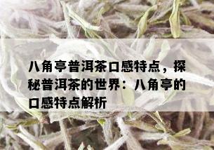 八角亭普洱茶口感特点，探秘普洱茶的世界：八角亭的口感特点解析