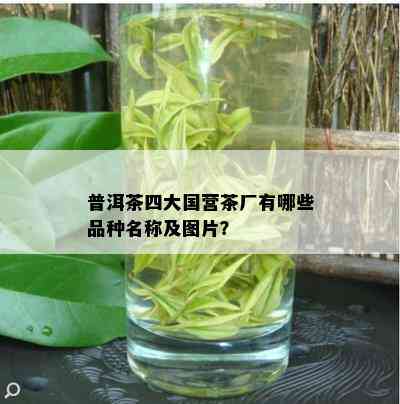 普洱茶四大国营茶厂有哪些品种名称及图片？