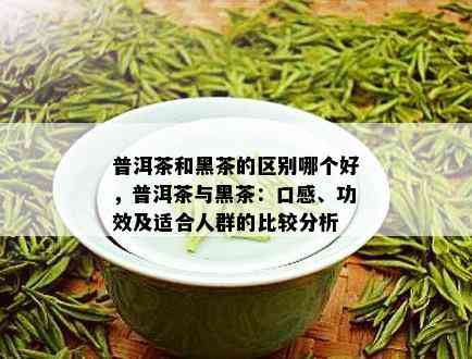 普洱茶和黑茶的区别哪个好，普洱茶与黑茶：口感、功效及适合人群的比较分析