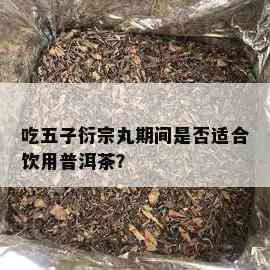 吃五子衍宗丸期间是否适合饮用普洱茶？