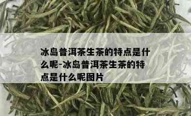 冰岛普洱茶生茶的特点是什么呢-冰岛普洱茶生茶的特点是什么呢图片