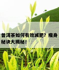 普洱茶如何有效减肥？瘦身秘诀大揭秘！