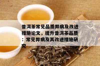 普洱茶常见品质弊病及改进措施论文，提升普洱茶品质：常见弊病及其改进措施研究