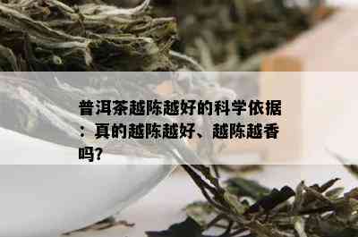 普洱茶越陈越好的科学依据：真的越陈越好、越陈越香吗？