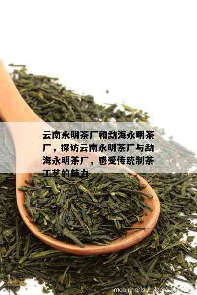 云南永明茶厂和勐海永明茶厂，探访云南永明茶厂与勐海永明茶厂，感受传统制茶工艺的魅力