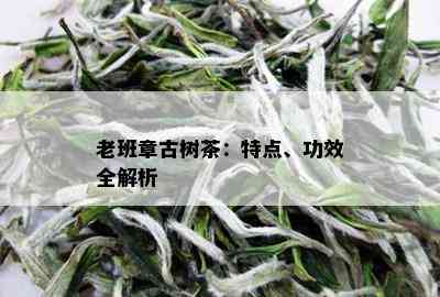 老班章古树茶：特点、功效全解析