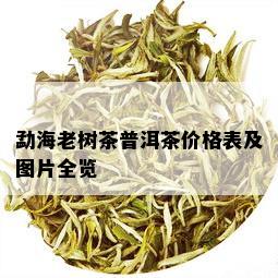 勐海老树茶普洱茶价格表及图片全览