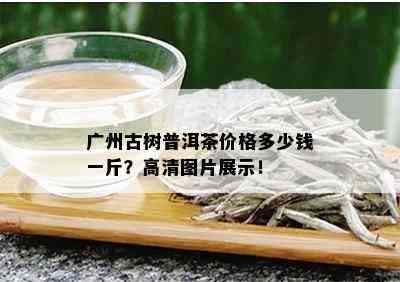 广州古树普洱茶价格多少钱一斤？高清图片展示！