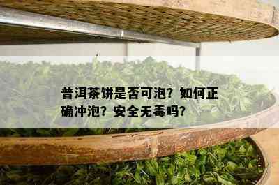 普洱茶饼是否可泡？如何正确冲泡？安全无吗？