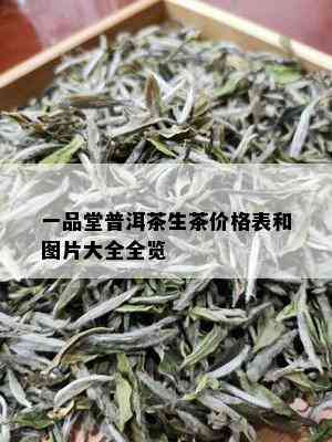 一品堂普洱茶生茶价格表和图片大全全览