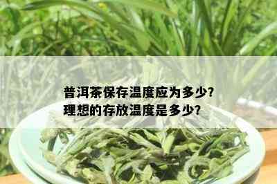 普洱茶保存温度应为多少？理想的存放温度是多少？