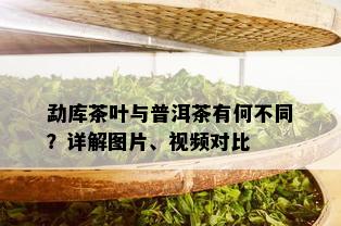 勐库茶叶与普洱茶有何不同？详解图片、视频对比