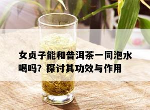 女贞子能和普洱茶一同泡水喝吗？探讨其功效与作用