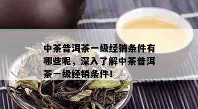 中茶普洱茶一级经销条件有哪些呢，深入了解中茶普洱茶一级经销条件！