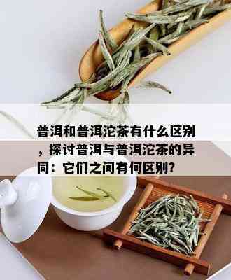 普洱和普洱沱茶有什么区别，探讨普洱与普洱沱茶的异同：它们之间有何区别？