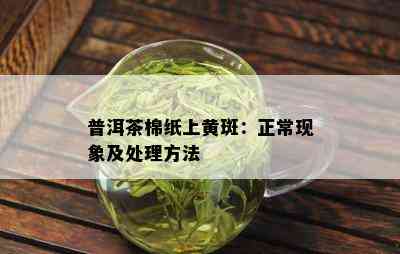 普洱茶棉纸上黄斑：正常现象及处理方法