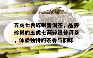 五虎七两碎银普洱茶，品尝珍稀的五虎七两碎银普洱茶，体验独特的茶香与韵味