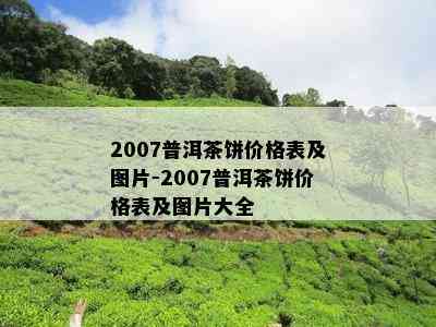 2007普洱茶饼价格表及图片-2007普洱茶饼价格表及图片大全