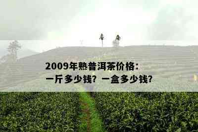 2009年熟普洱茶价格：一斤多少钱？一盒多少钱？