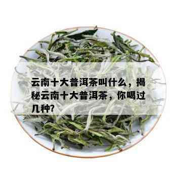 云南十大普洱茶叫什么，揭秘云南十大普洱茶，你喝过几种？