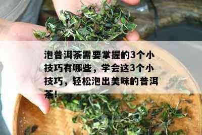 泡普洱茶需要掌握的3个小技巧有哪些，学会这3个小技巧，轻松泡出美味的普洱茶！