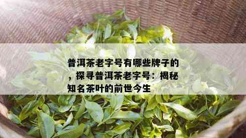 普洱茶老字号有哪些牌子的，探寻普洱茶老字号：揭秘知名茶叶的前世今生