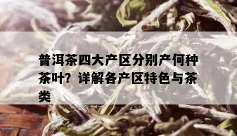 普洱茶四大产区分别产何种茶叶？详解各产区特色与茶类