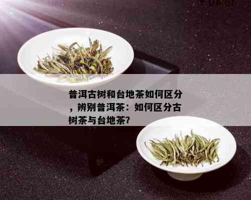 普洱古树和台地茶如何区分，辨别普洱茶：如何区分古树茶与台地茶？