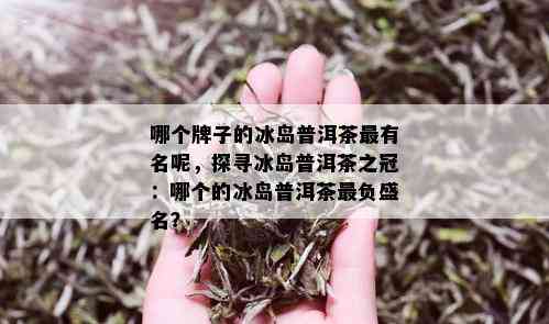 哪个牌子的冰岛普洱茶最有名呢，探寻冰岛普洱茶之冠：哪个的冰岛普洱茶最负盛名？