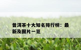 普洱茶十大知名排行榜：最新及图片一览