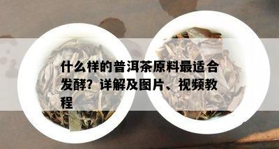 什么样的普洱茶原料最适合发酵？详解及图片、视频教程