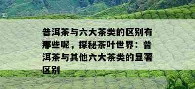 普洱茶与六大茶类的区别有那些呢，探秘茶叶世界：普洱茶与其他六大茶类的显著区别