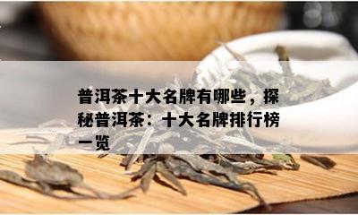 普洱茶十大名牌有哪些，探秘普洱茶：十大名牌排行榜一览