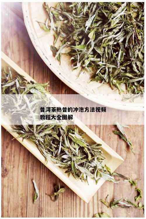 普洱茶熟普的冲泡方法视频教程大全图解