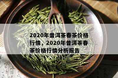 2020年普洱茶春茶价格行情，2020年普洱茶春茶价格行情分析报告