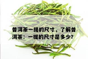 普洱茶一提的尺寸，了解普洱茶：一提的尺寸是多少？