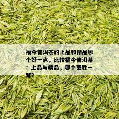 福今普洱茶的上品和精品哪个好一点，比较福今普洱茶：上品与精品，哪个更胜一筹？