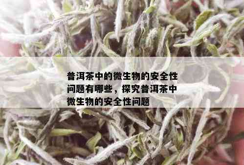 普洱茶中的微生物的安全性问题有哪些，探究普洱茶中微生物的安全性问题