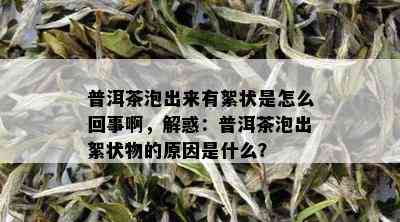 普洱茶泡出来有絮状是怎么回事啊，解惑：普洱茶泡出絮状物的原因是什么？